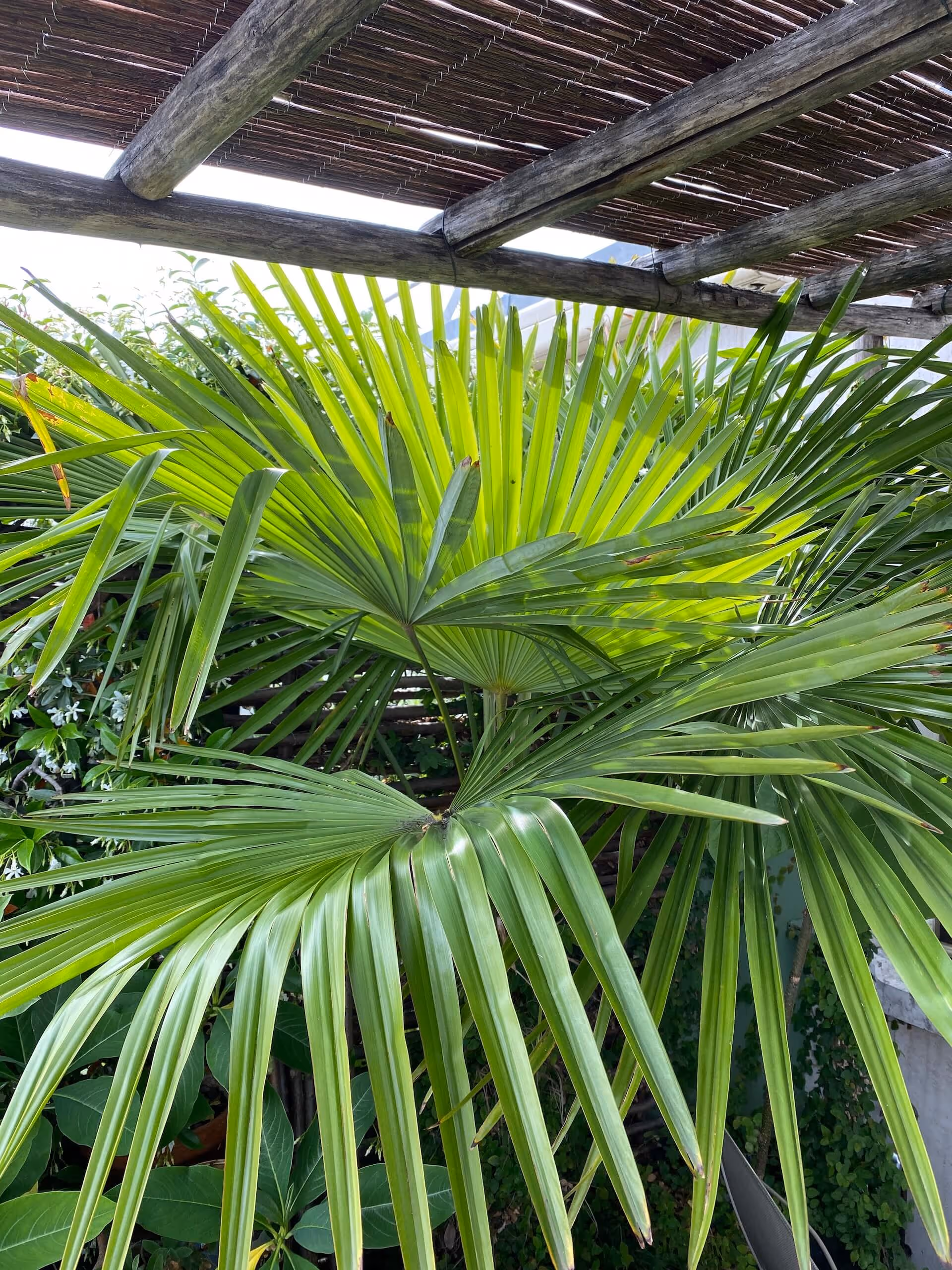 Juste en dessous du ciel