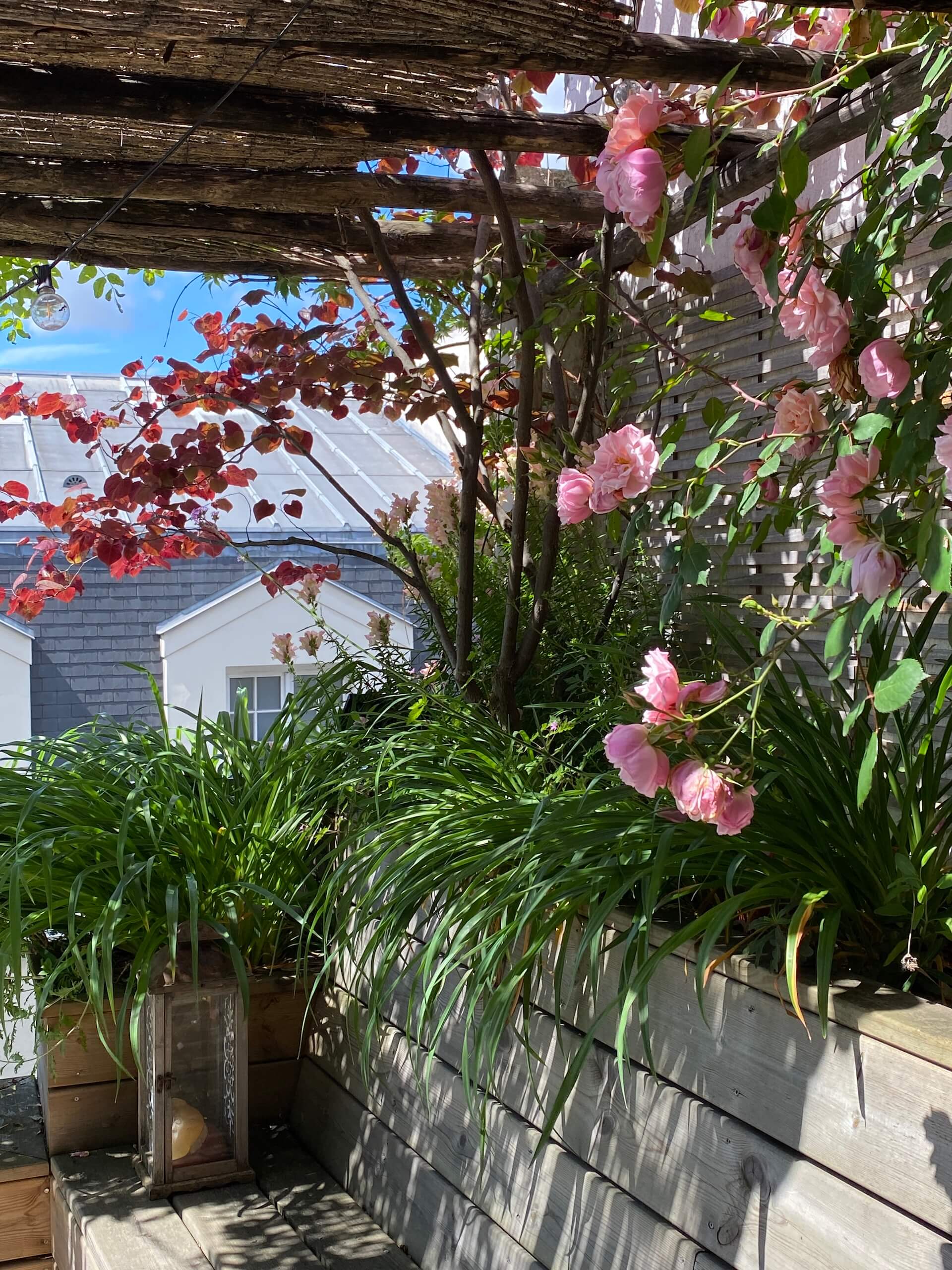 La terrasse de l'Abbé Grégoire