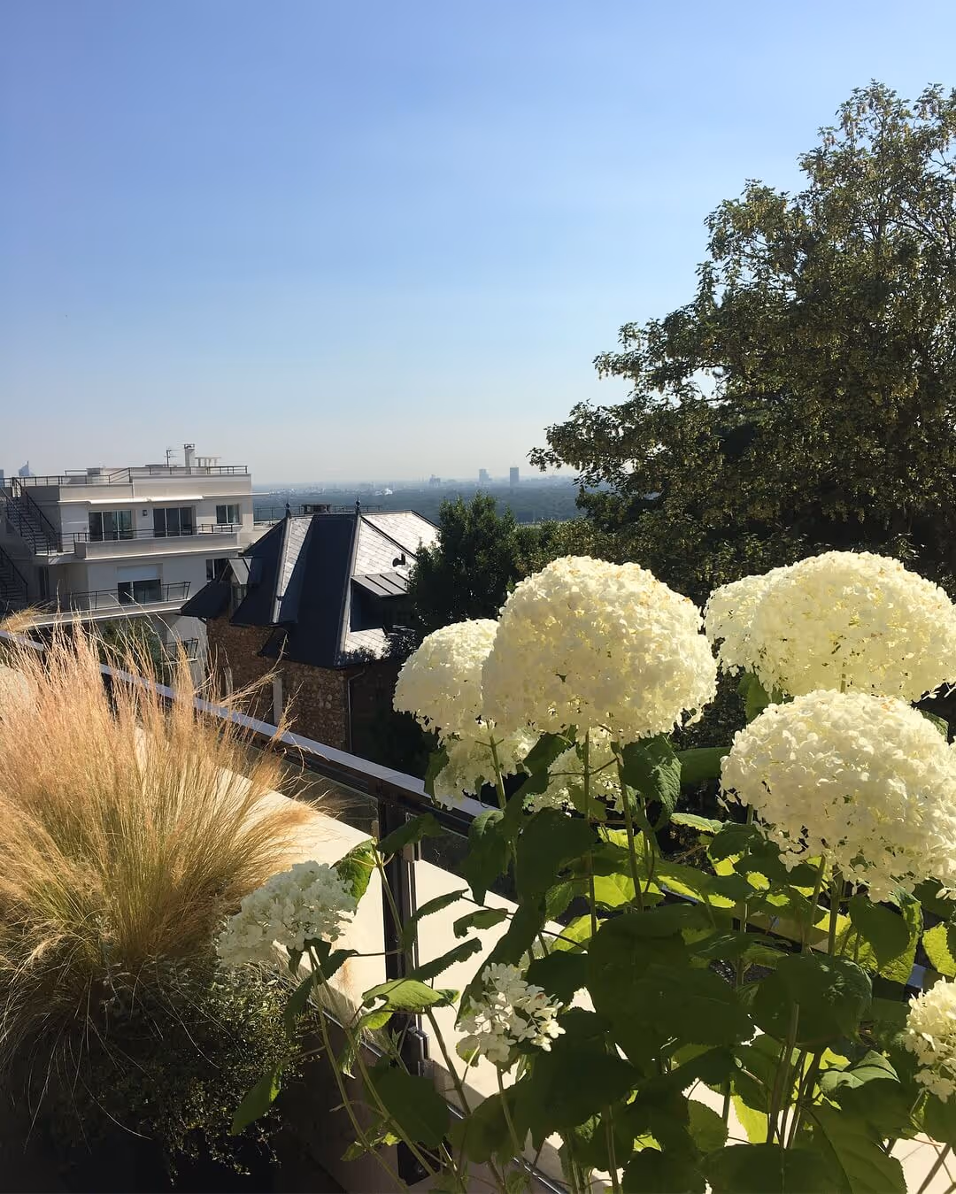 Un air de méditerranée