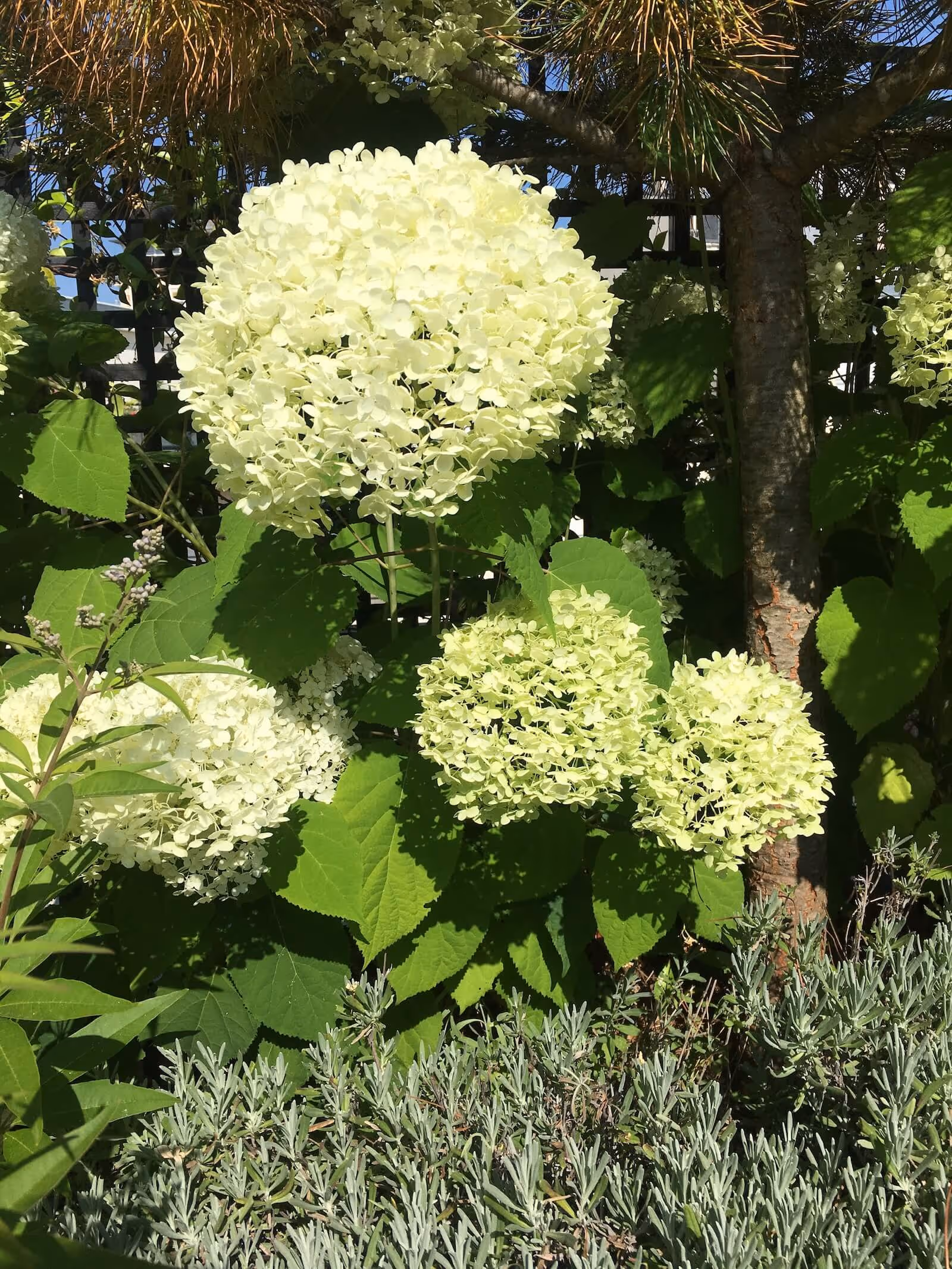 Un air de méditerranée