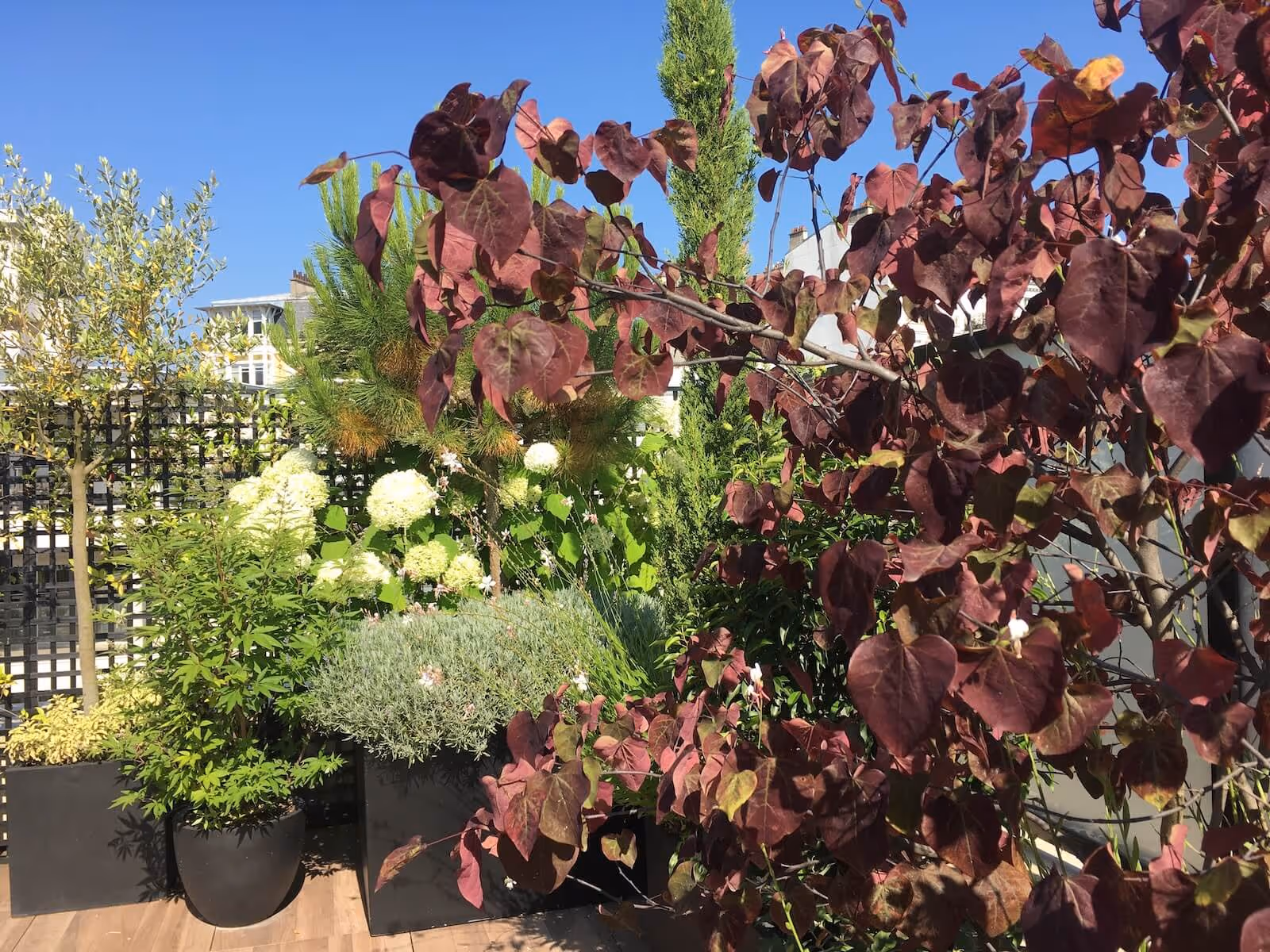 Un air de méditerranée