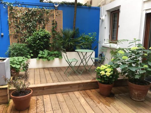 Patio Majorelle