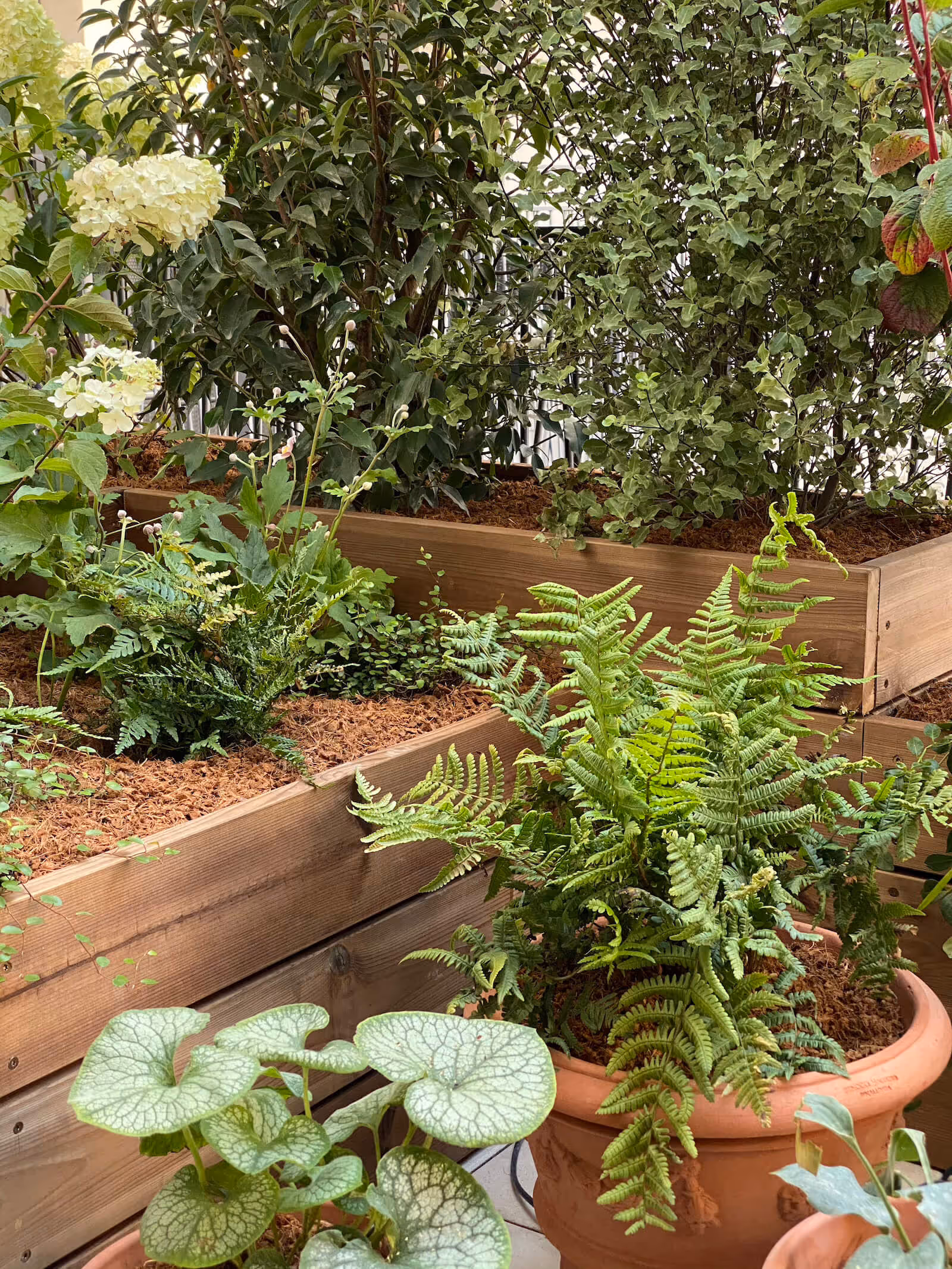 Terrasse Victor-Hugo