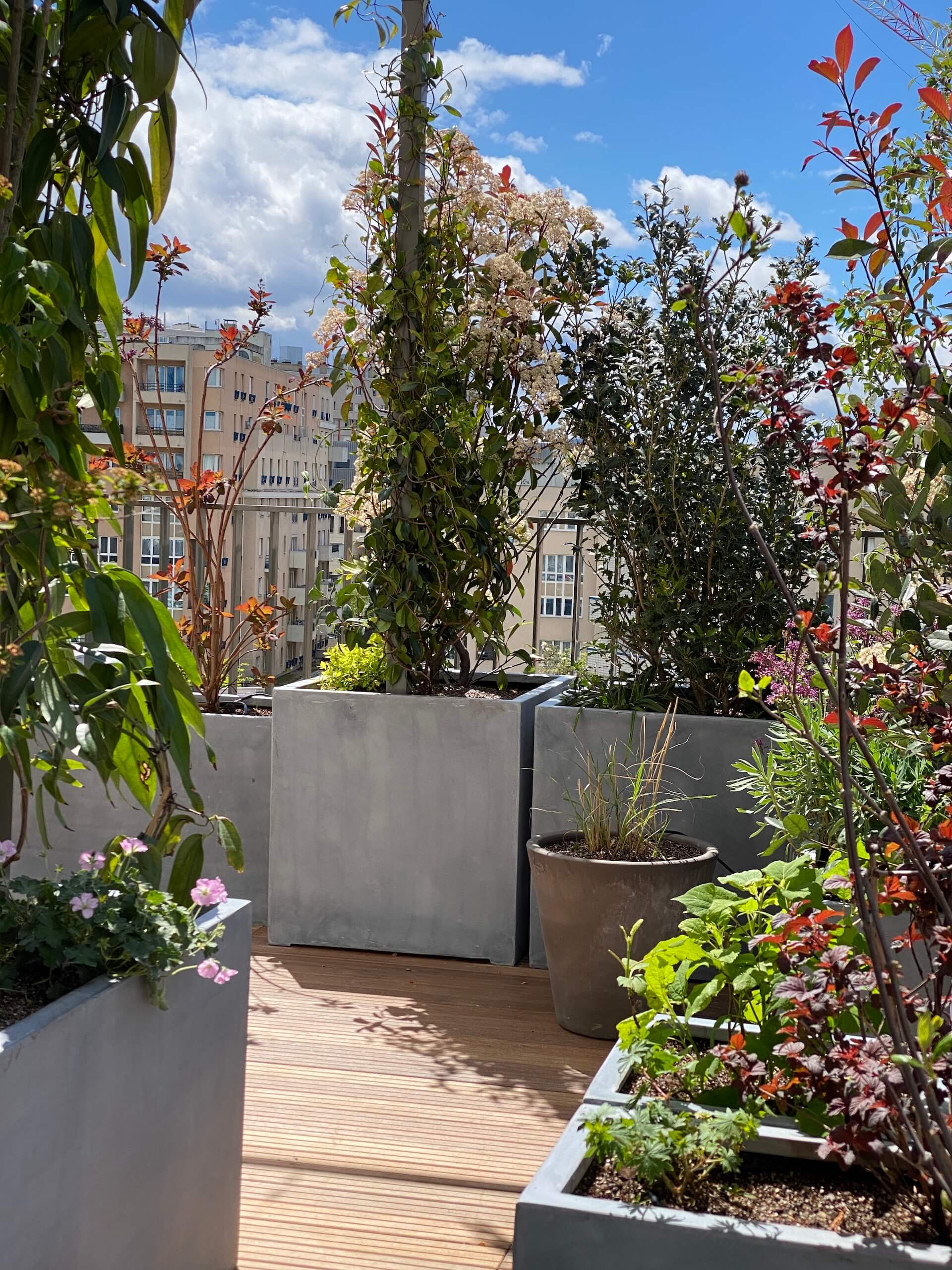 Alcôves foisonnantes