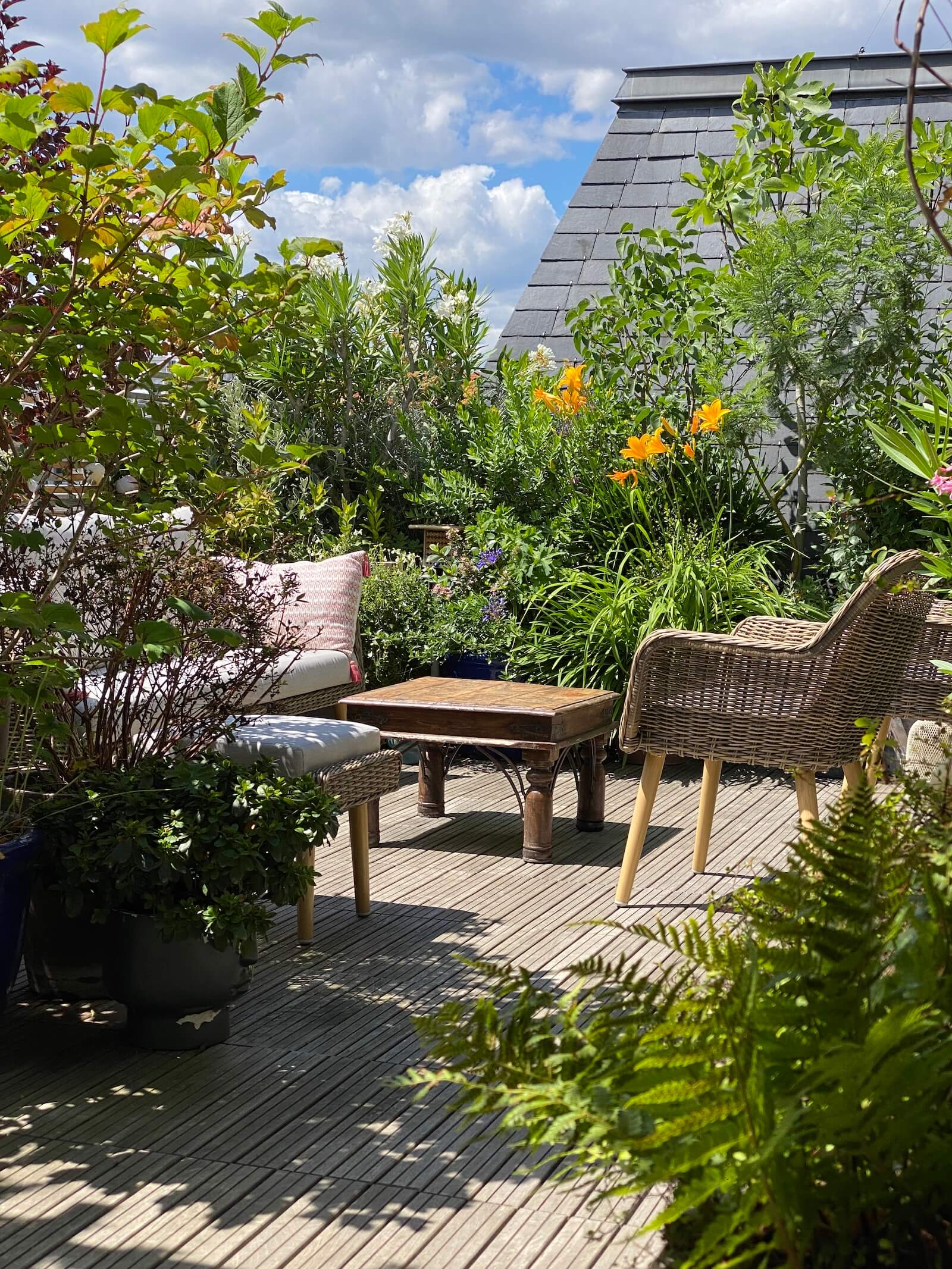 Lumières du couchant