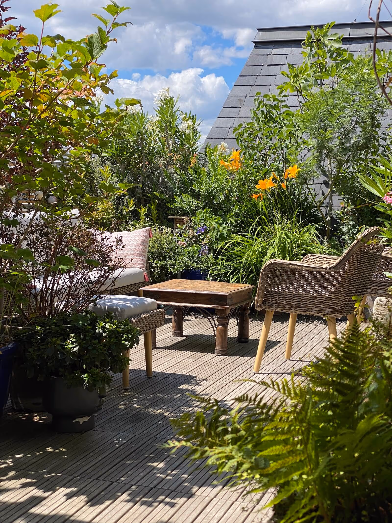 Lumières du couchant