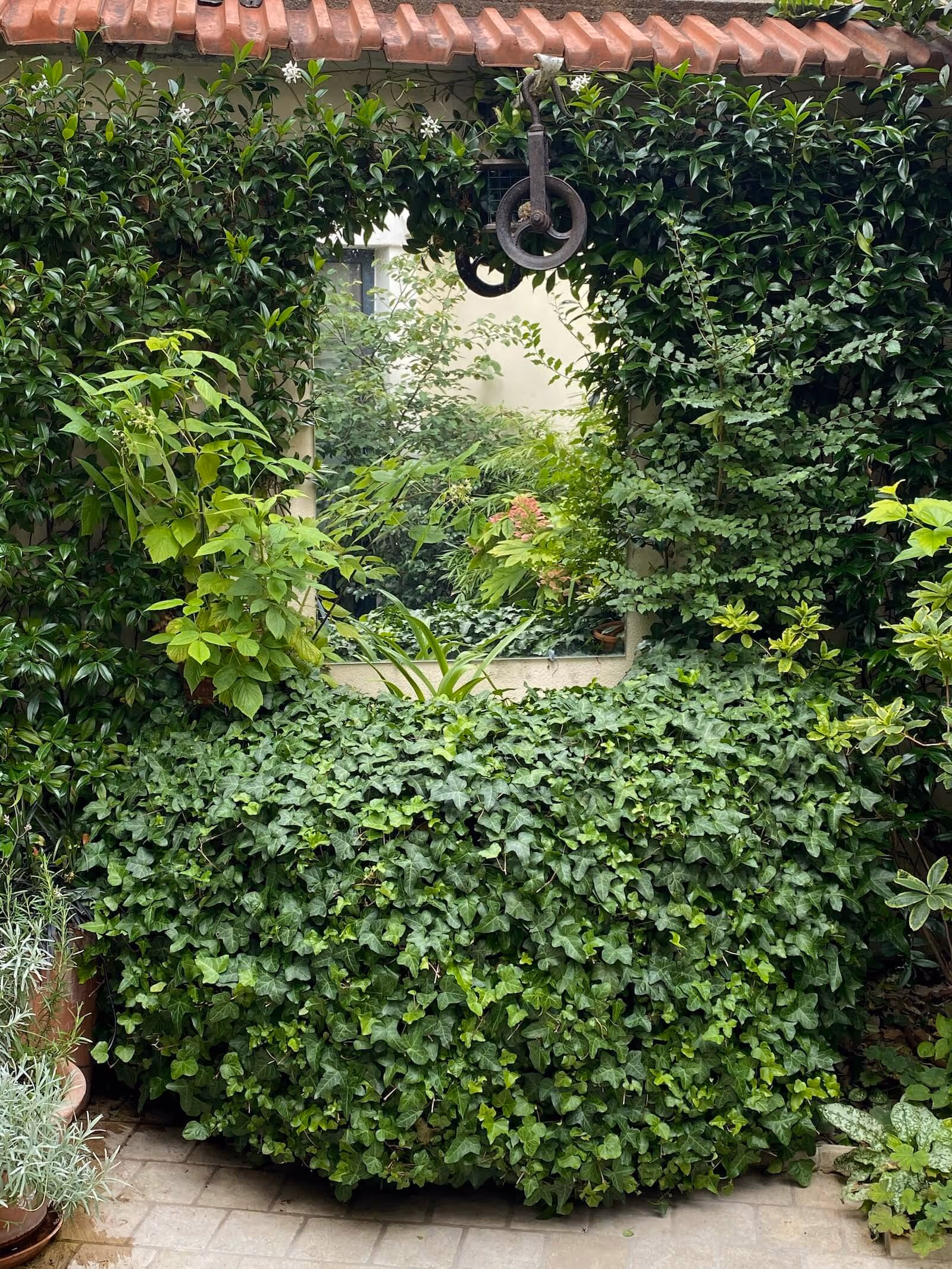 À l’ombre des murs à pêches