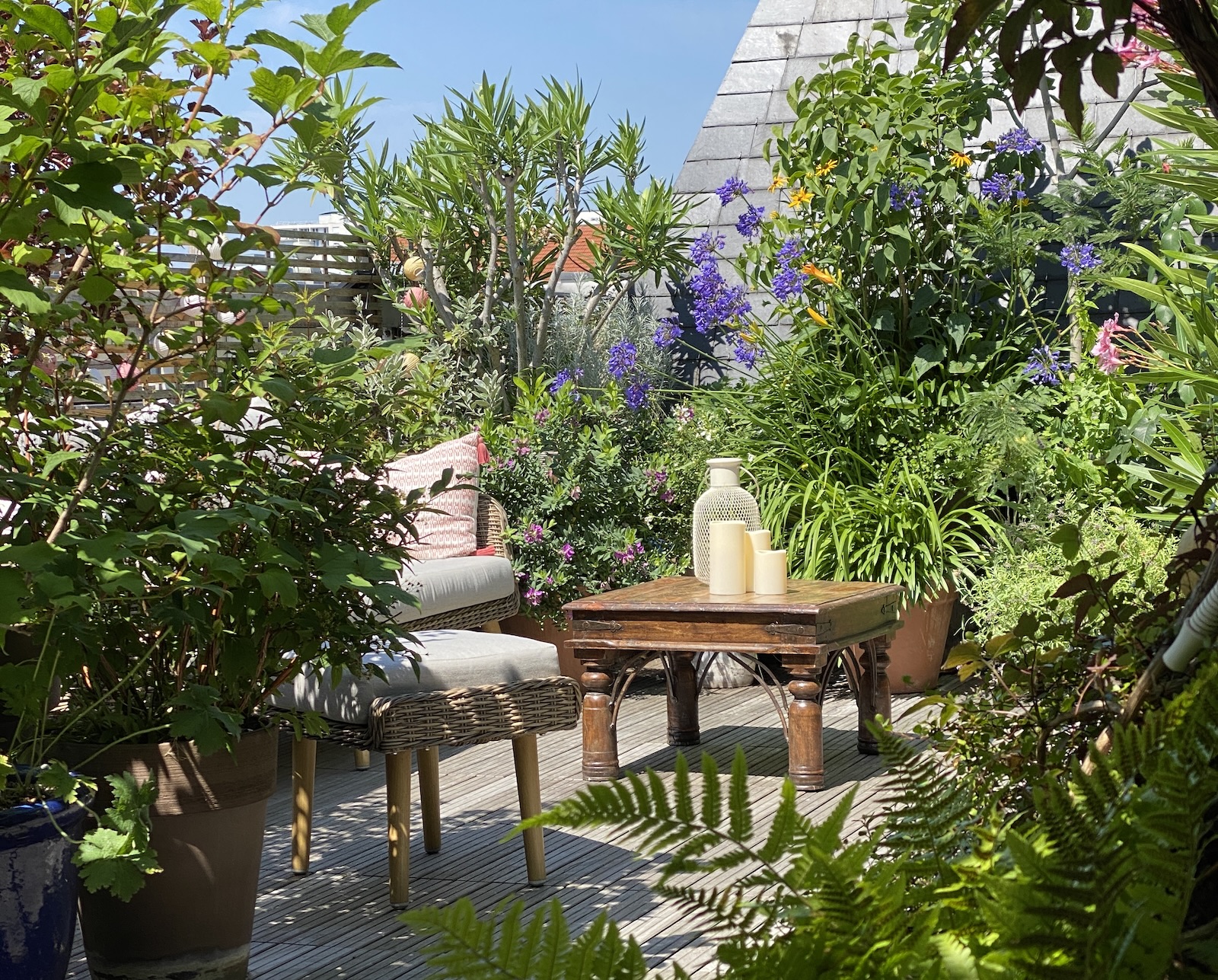 Lumières du couchant