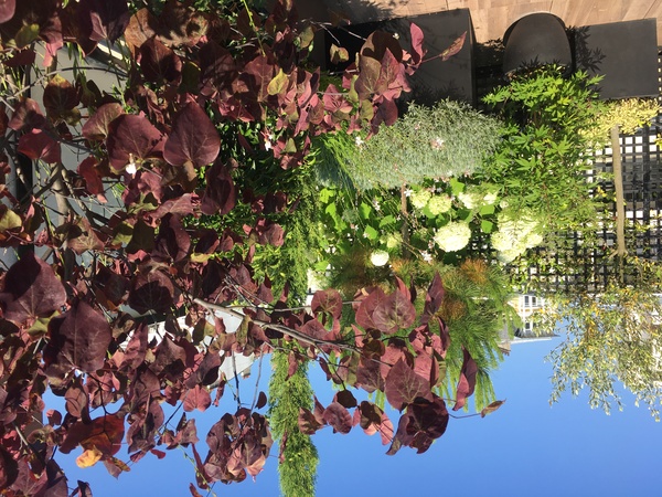 Un air de méditerranée