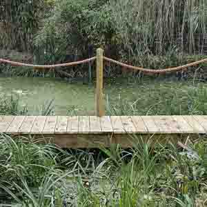 Timber pergola surrounded by lush greenery, creating a shaded garden walkway.