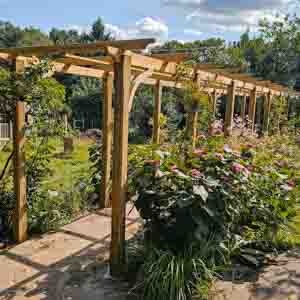 Timber-framed pergola leading through landscaped planting with gravel path.