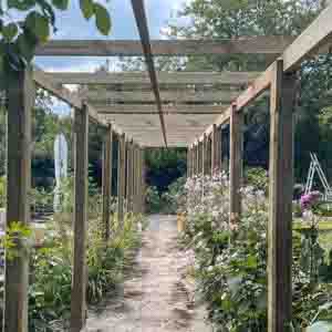 Rustic wooden pergola extending along a garden path surrounded by greenery.