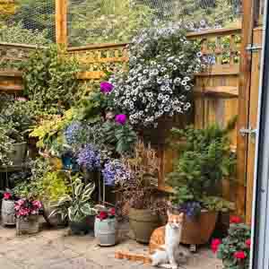 Compact garden pergola with hanging baskets and vertical timber cladding.