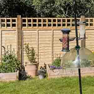 Decorative fence panels with lattice top detail adding style to a private garden area.