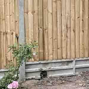 Closeboard panels with concrete posts and gravel boards installed beside a garden bench.
