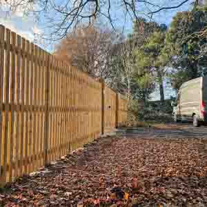 Timber palisade boundary fence with autumn leaves in a woodland garden setting.