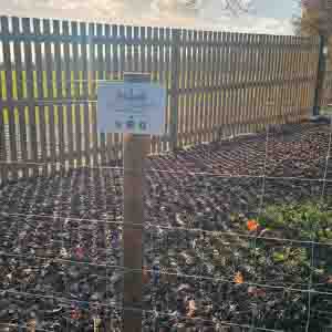 Close-up of painted picket fence installed along a gravel edge in winter light.