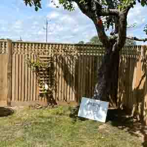 Shaded garden boundary with natural timber fence and square-lattice trellis topper.