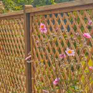 Timber privacy screen with decorative trellis panel framing a planting area.