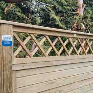 Raised bed backdrop with framed trellis panels supporting climbing plants.