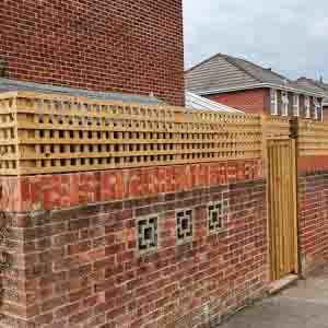 Closeboard fence finished with trellis topper along a planted border.