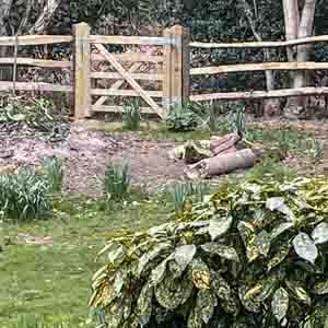 Curved wooden post and rail fence surrounding a landscaped garden with shrubs and lawn.