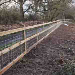 Traditional countryside fencing running alongside a woodland trail.