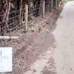 Rural path enclosed with post and rail fencing for clear access routes.
