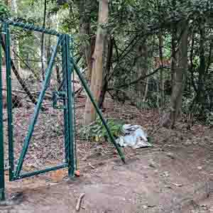 Green metal security gate set within tall mesh fencing for a woodland boundary.