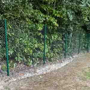 Close view of green mesh metal fencing blending into surrounding greenery.