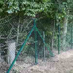 Sturdy green metal fence running through dense hedgerow along a garden edge.