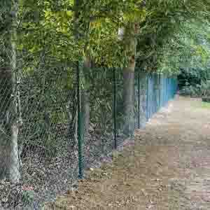 Metal mesh fencing extending along a tree-lined boundary in West Sussex.