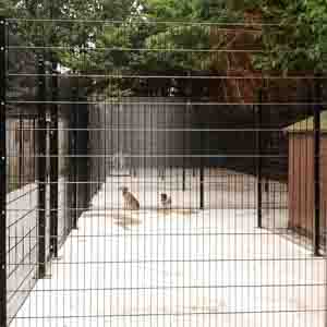 Contemporary black steel fencing enclosing a courtyard area.