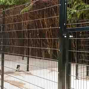 Close-up of vertical metal railing fence in a landscaped garden setting.