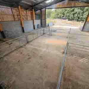 Interior view of a commercial livestock pen with timber dividers and concrete flooring by Green Leaves Fencing and Gates.