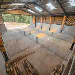 Commercial pen layout showcasing strong timber framework and organised fencing installation by Green Leaves Fencing and Gates.