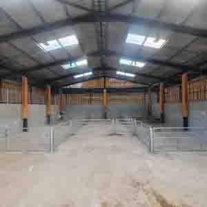 Clean and structured internal fencing layout within a commercial barn project by Green Leaves Fencing and Gates.