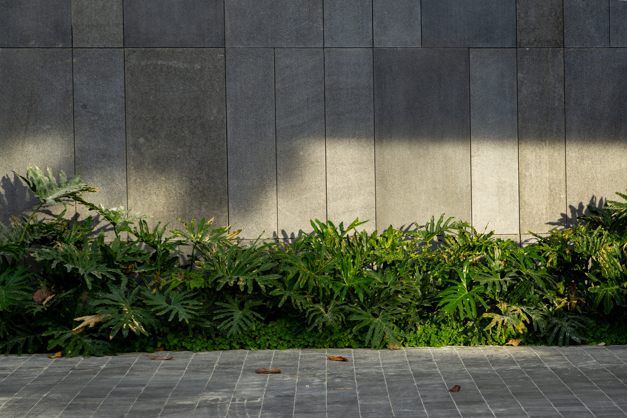 The Perch — image render