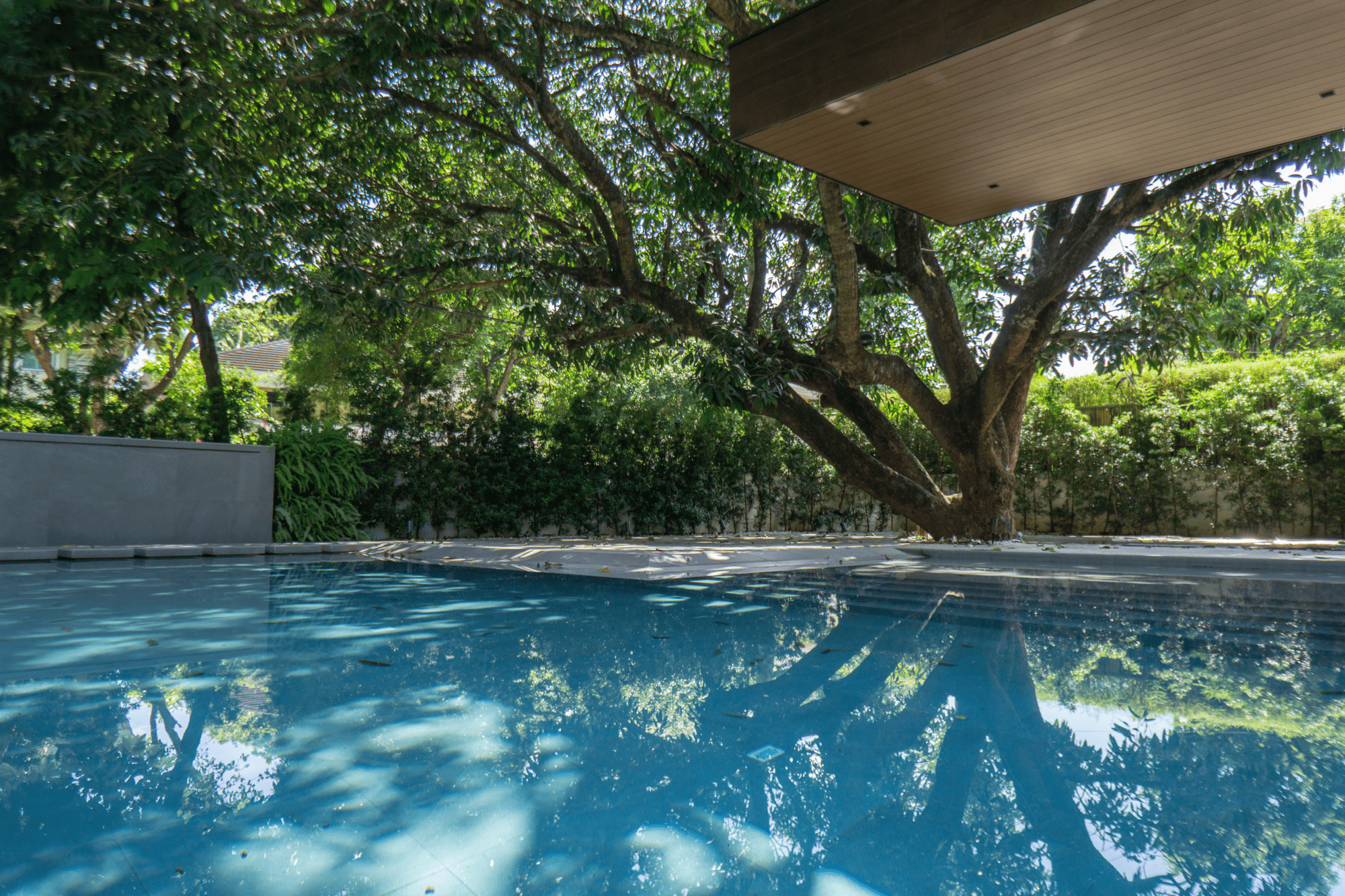 Private Forest — The lush greenery and canopy of existing trees cast dappled shadows over the tranquil pool, creating a visually striking mirror effect reminiscent of the forests.