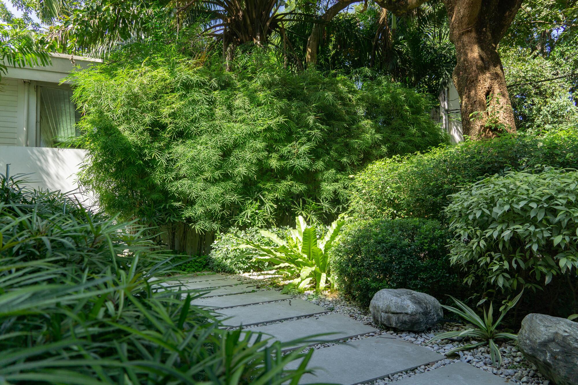 Private Forest — render image