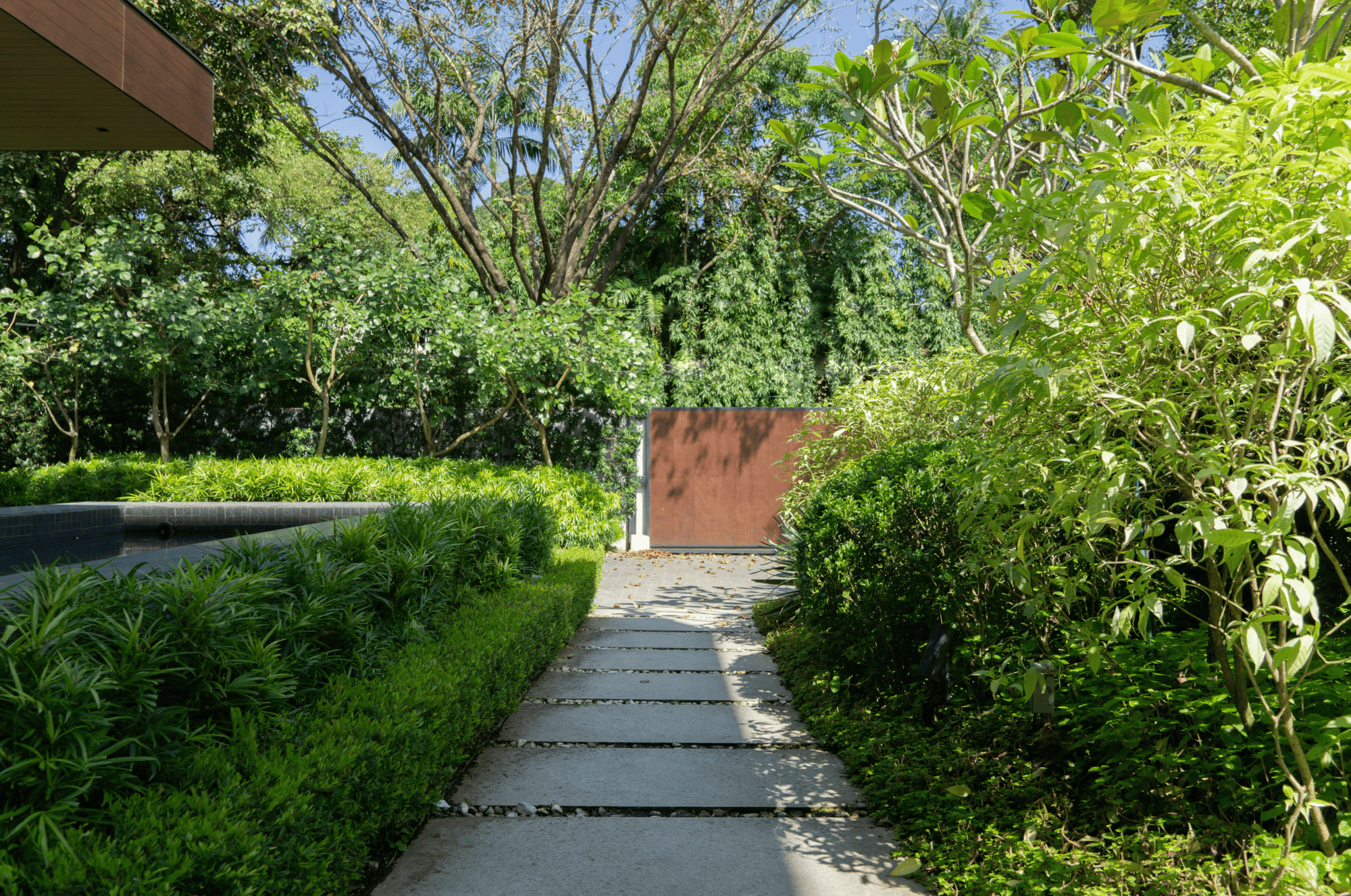 Private Forest — Diverse foliage and tropical plants frame the stone structured pathway, providing textural contrast to the landscape.