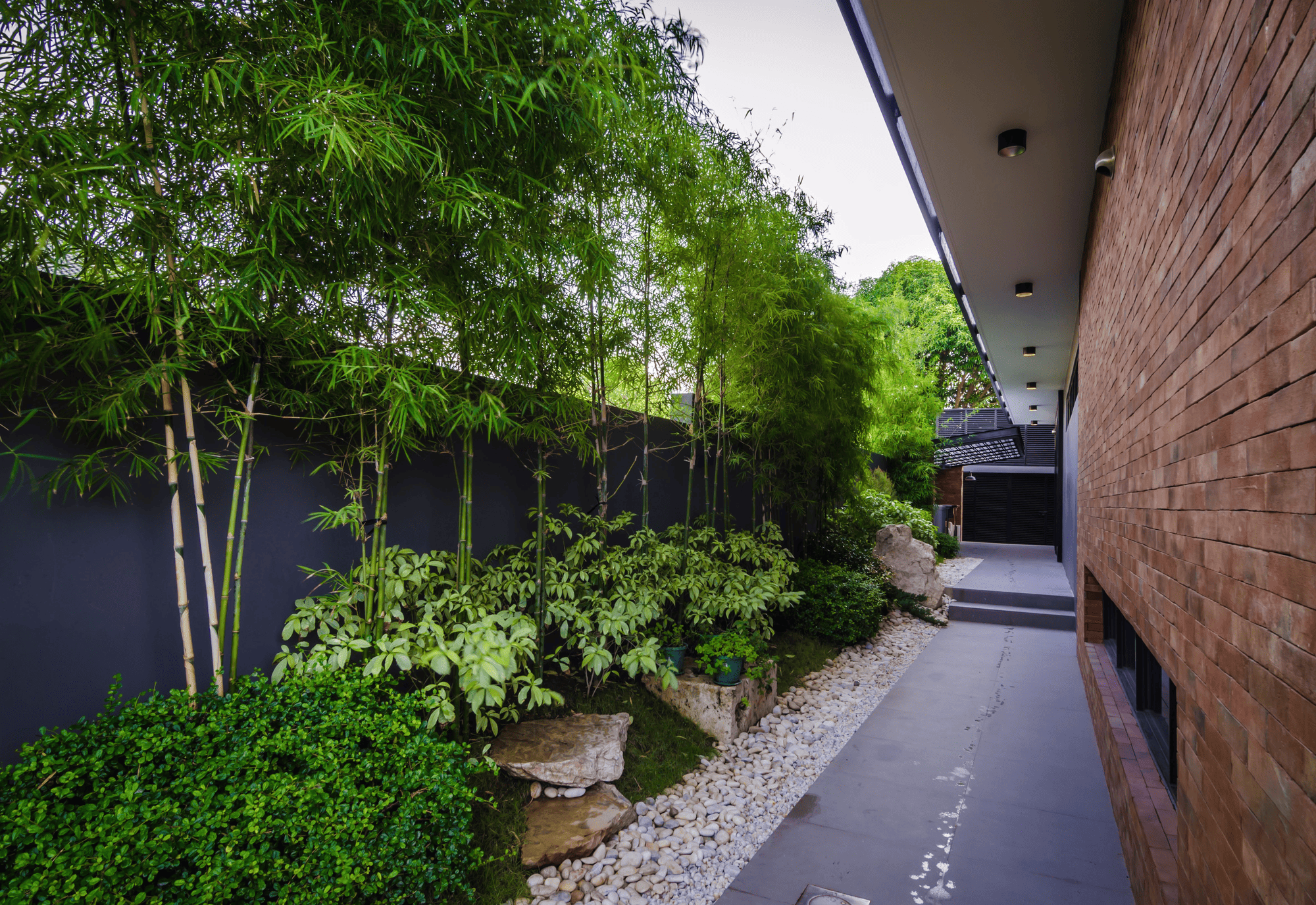 Walls of Green — White gravel, bamboos, and finely-textured greenery line the neutral-toned, narrow pathwalk to maximize its space and make it appear more open and spacious.
