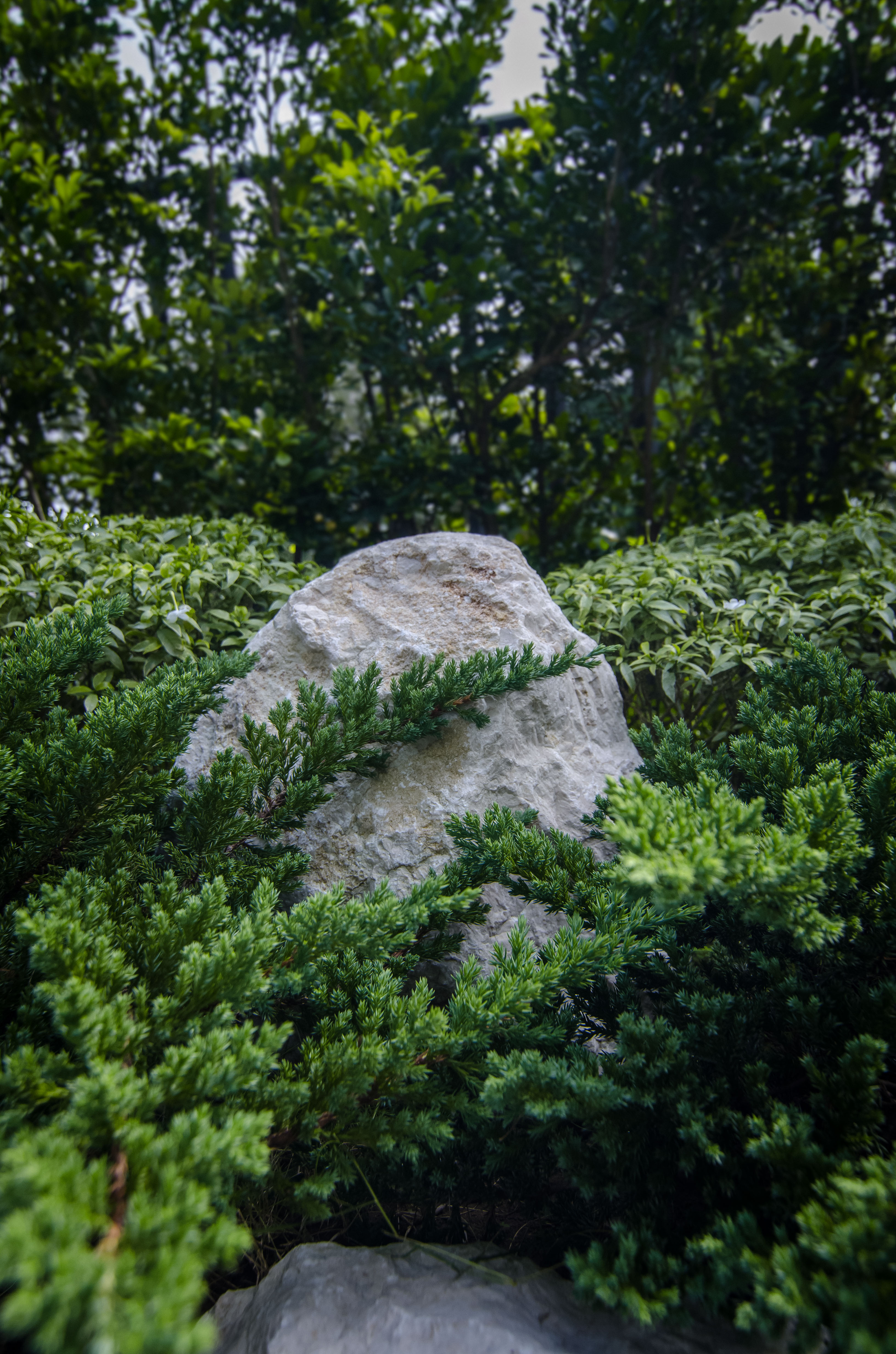 Japanese Chic — render image