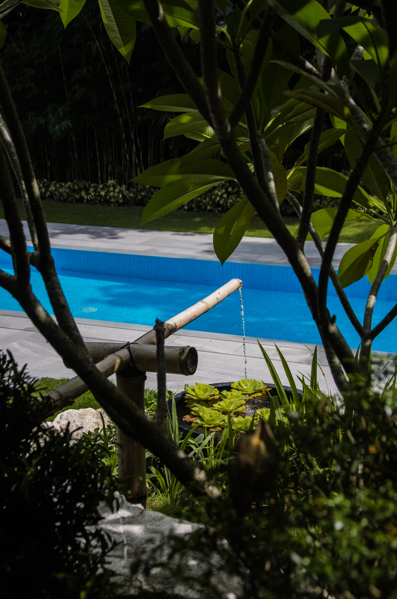 Japanese Chic — render image