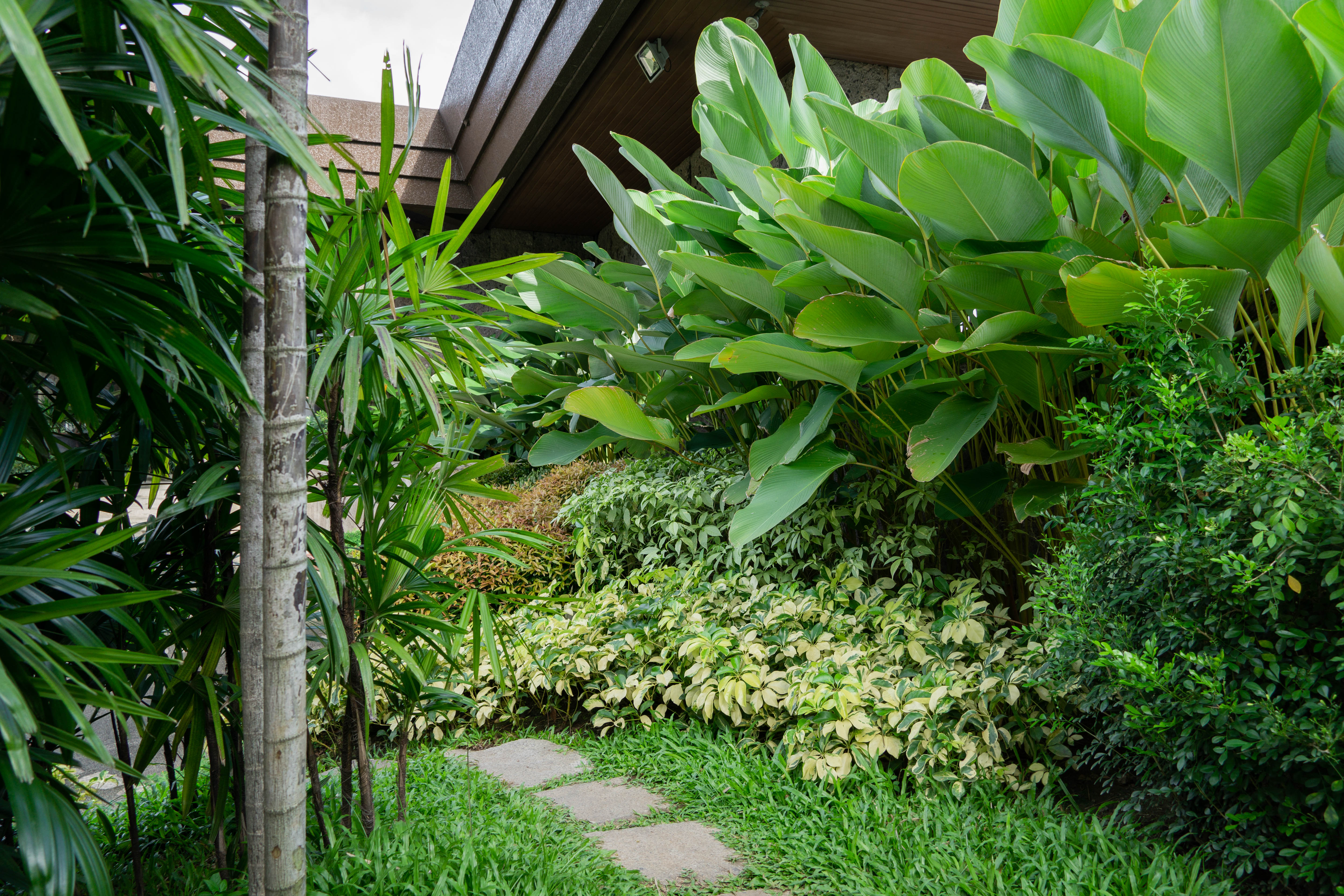 Filipino Classic — render image