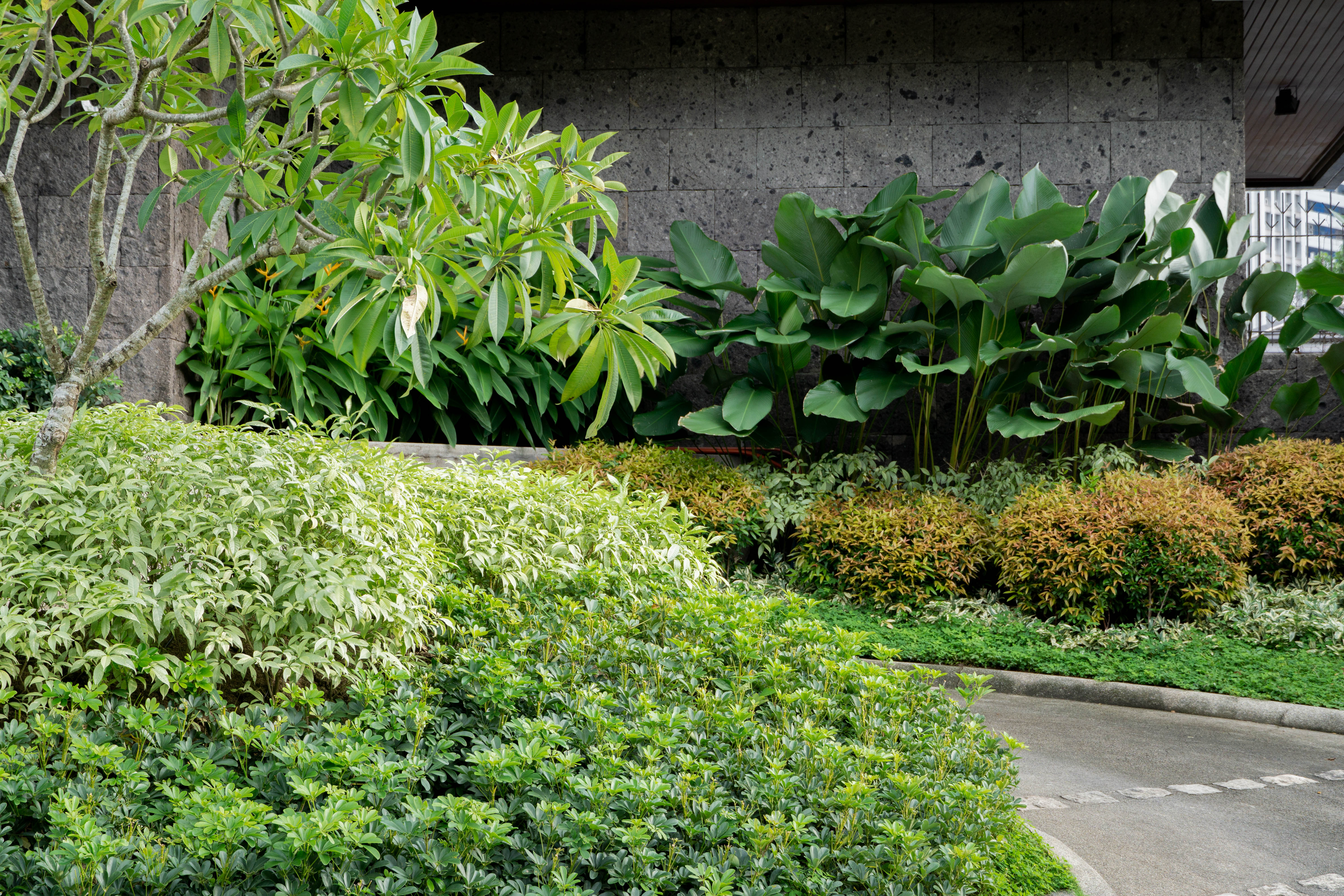 Filipino Classic — render image