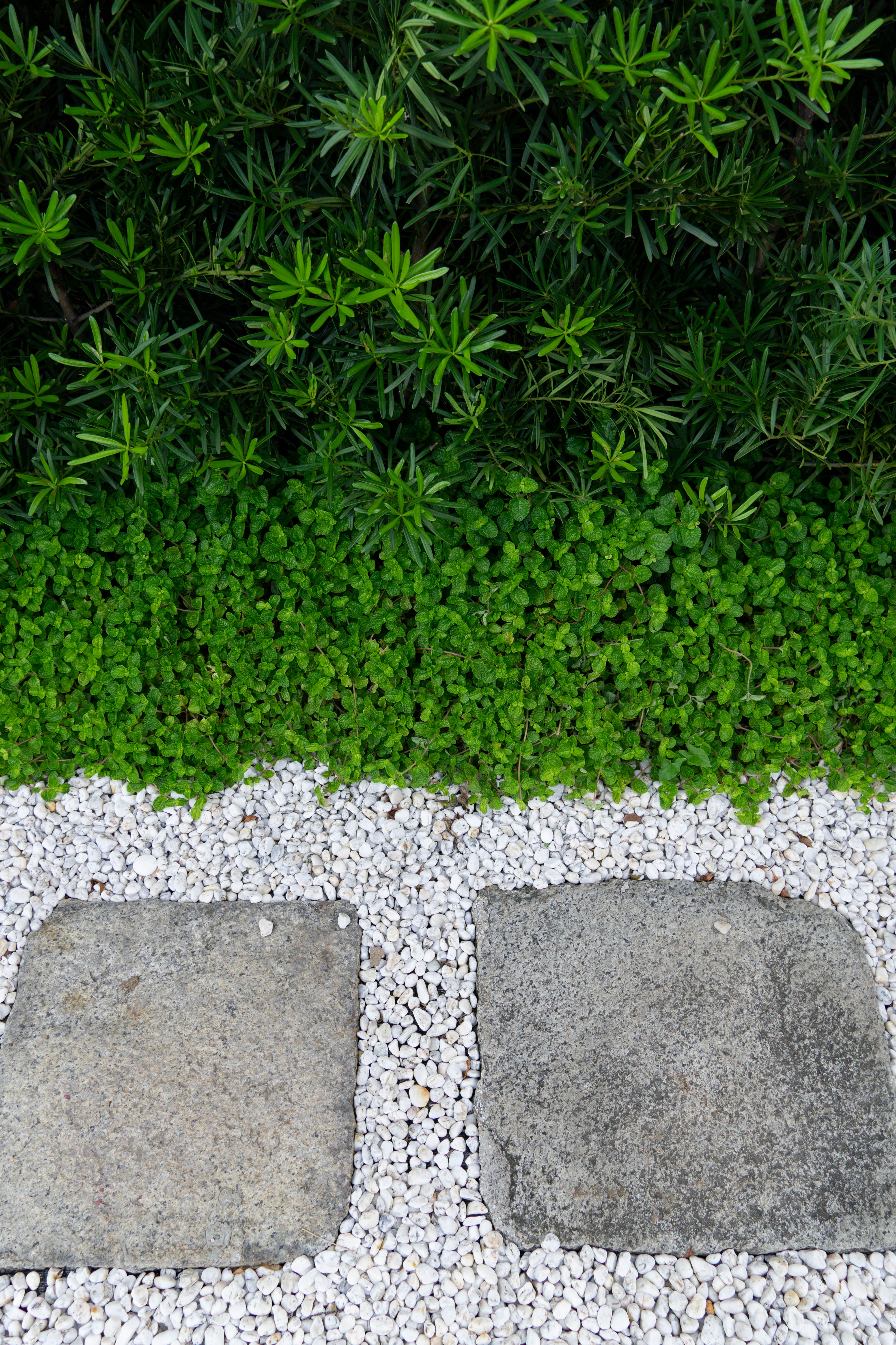 Filipino Classic — render image