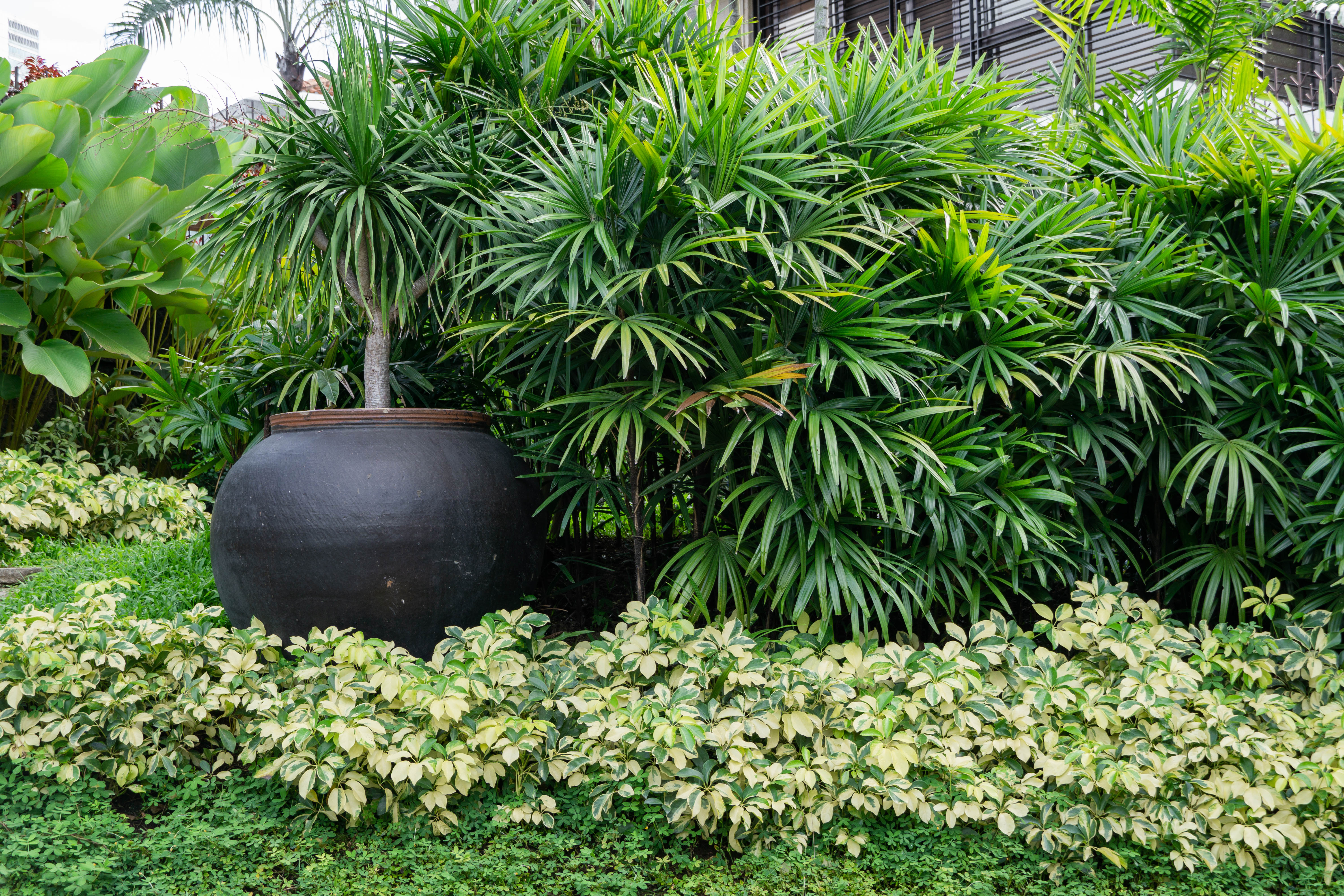 Filipino Classic — render image