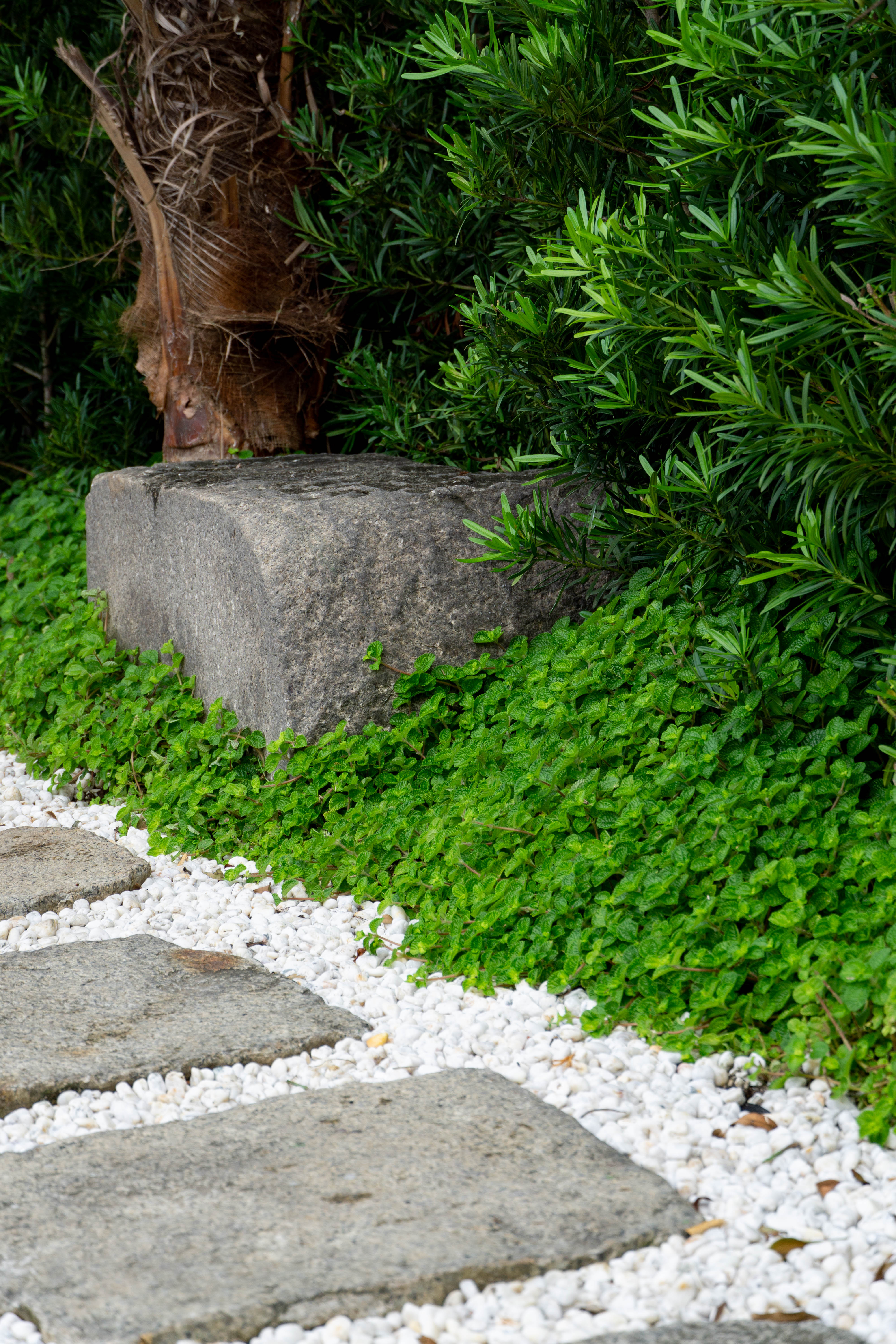 Filipino Classic — render image