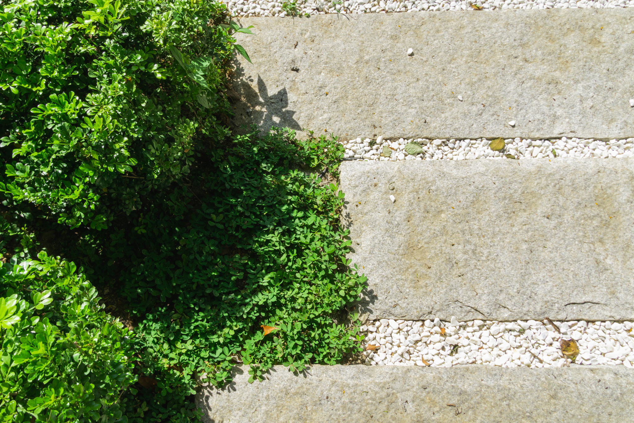 Casas La Vista — render image